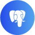 software development company